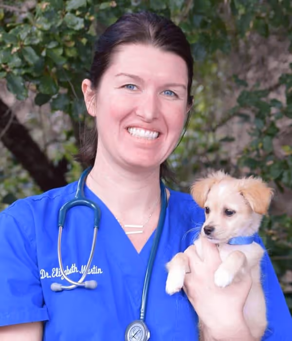 staff profile