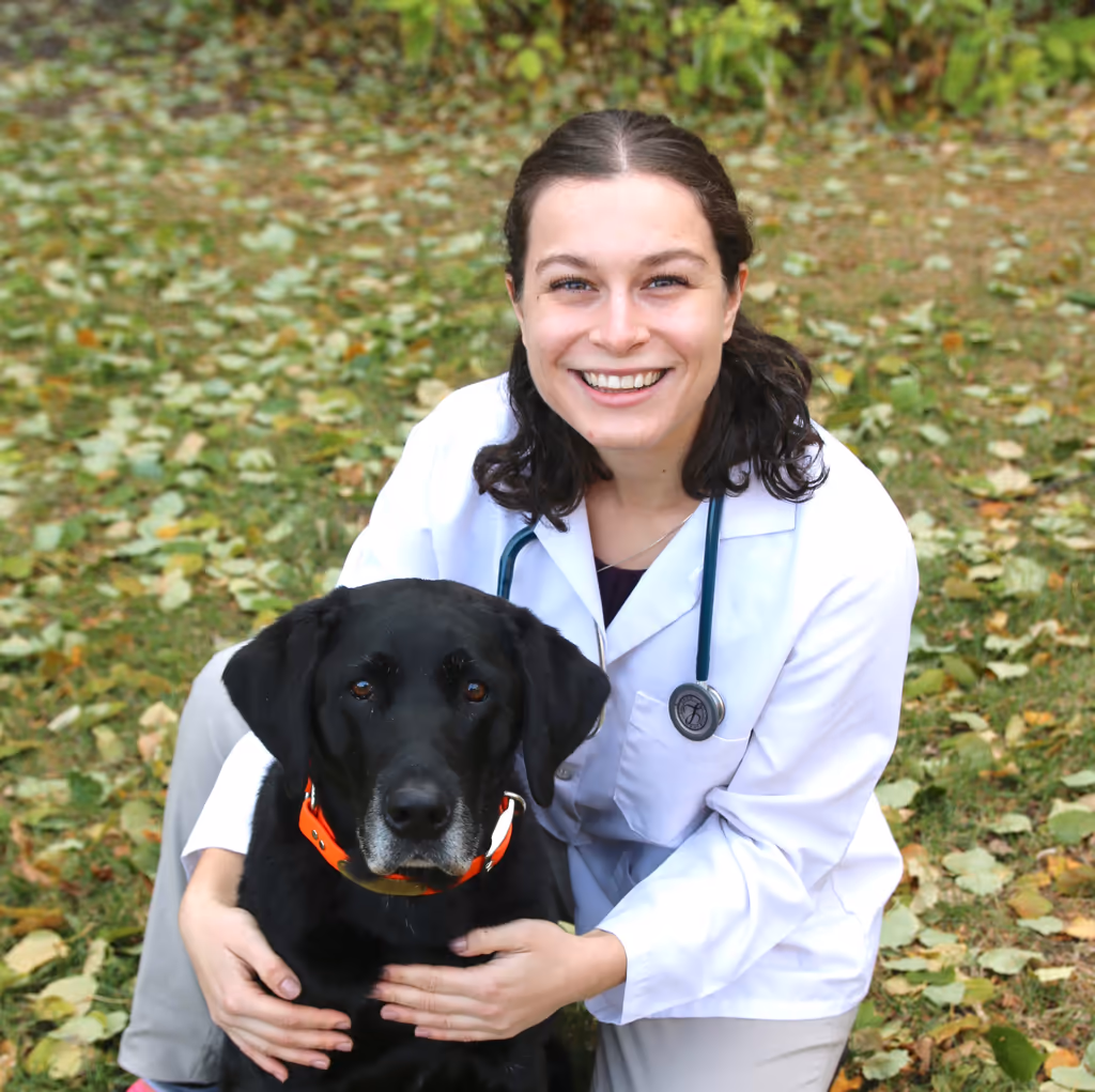 staff profile