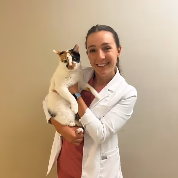 staff profile
