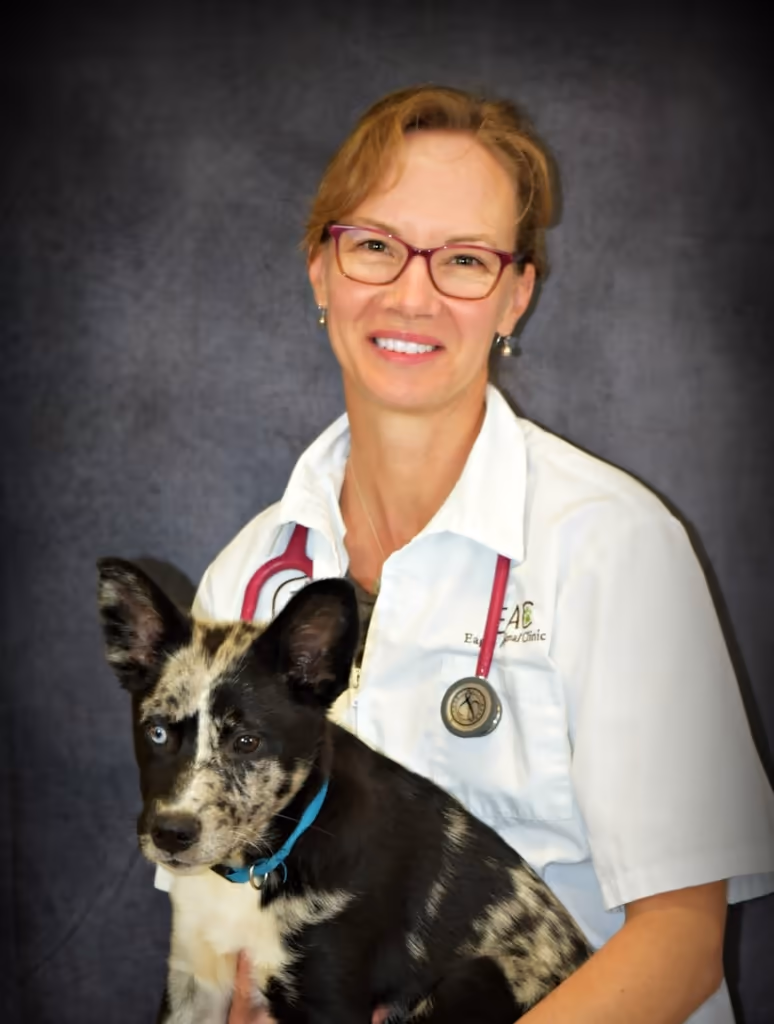 staff profile