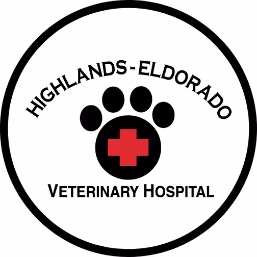 staff profile