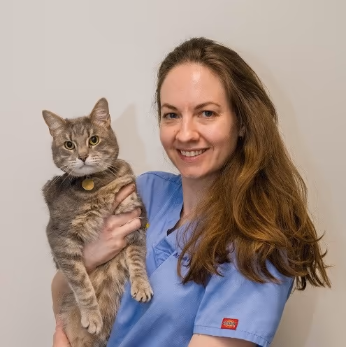 staff profile