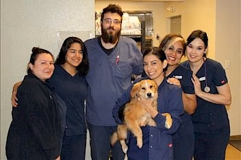 staff profile