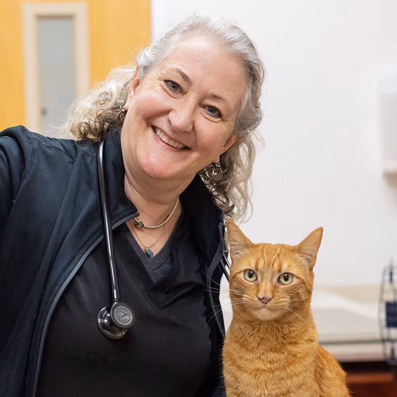 staff profile