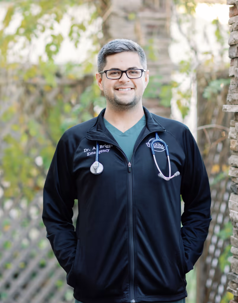 staff profile
