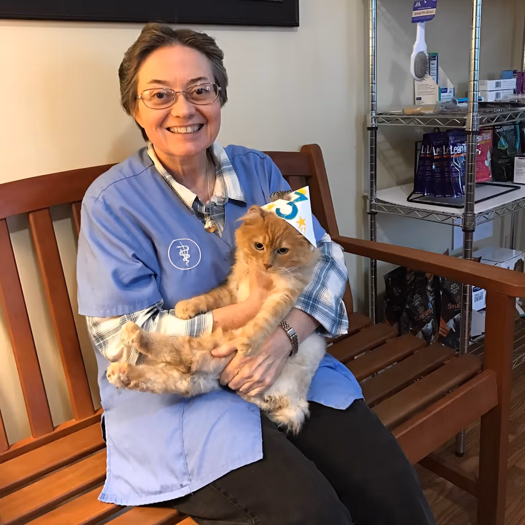 staff profile