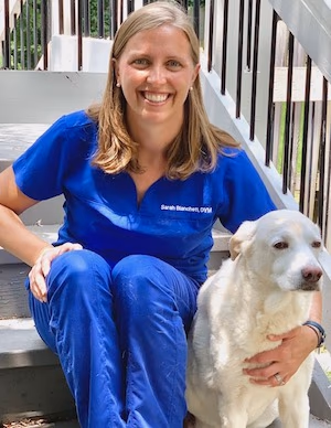 staff profile