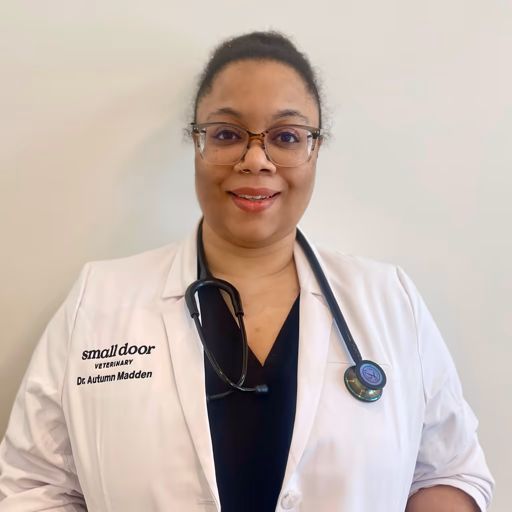 staff profile