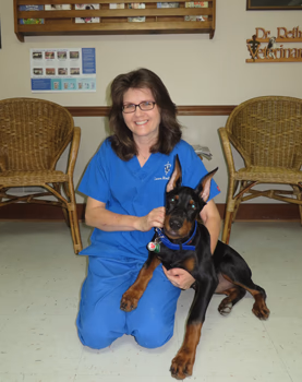 staff profile