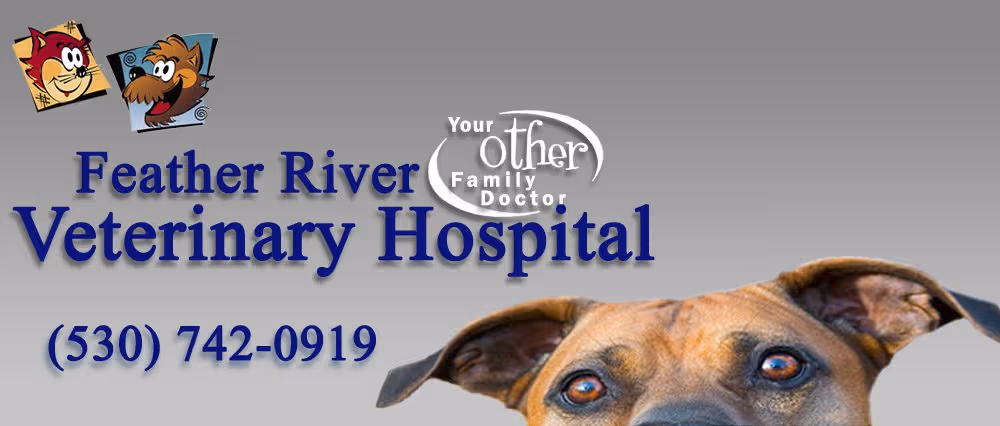 facility profile image