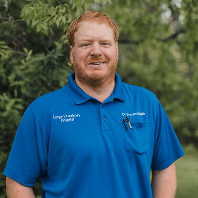 staff profile