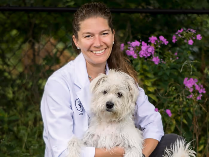 staff profile
