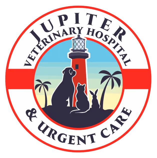 staff profile