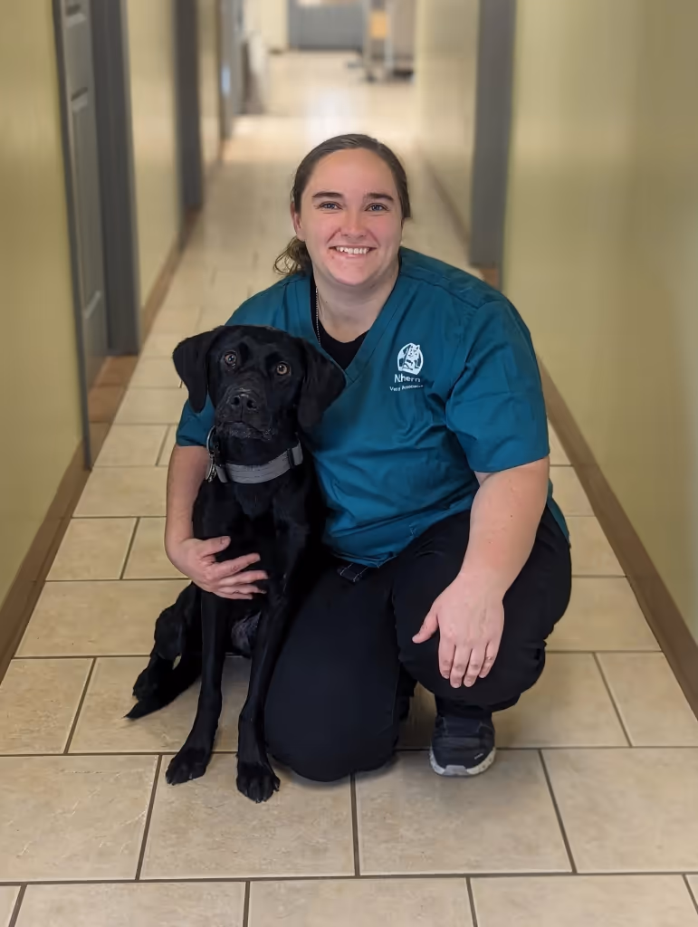 staff profile