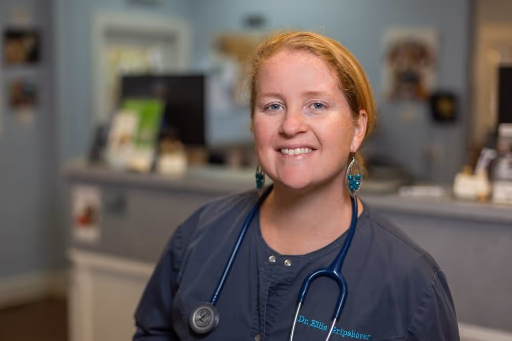 staff profile