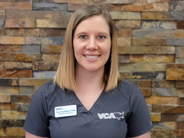 staff profile