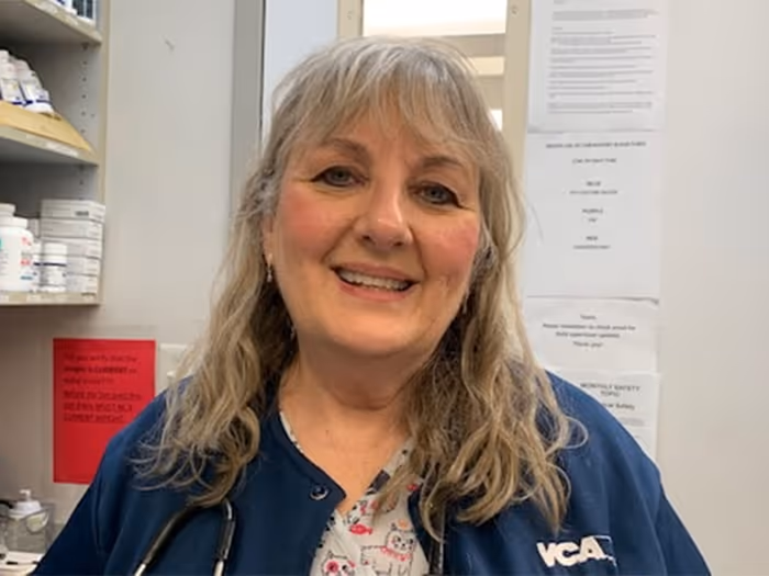 staff profile