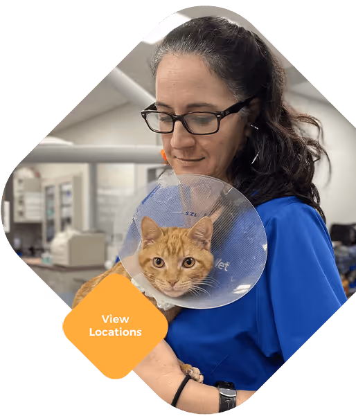 staff profile