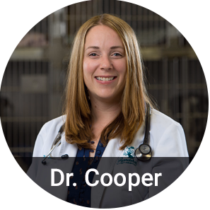 staff profile