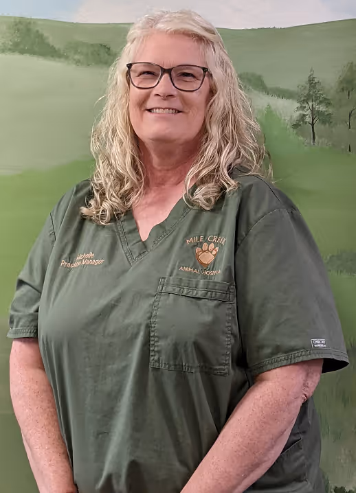 staff profile