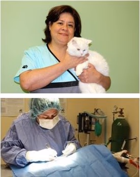 staff profile