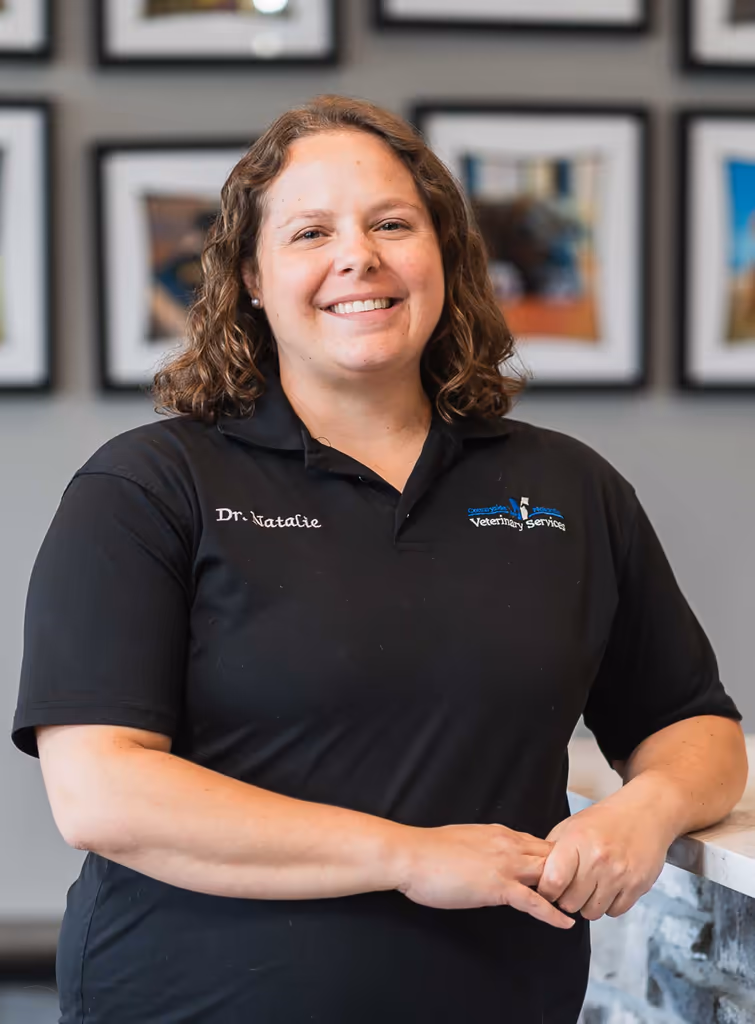 staff profile