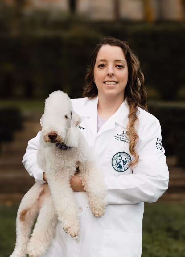 staff profile