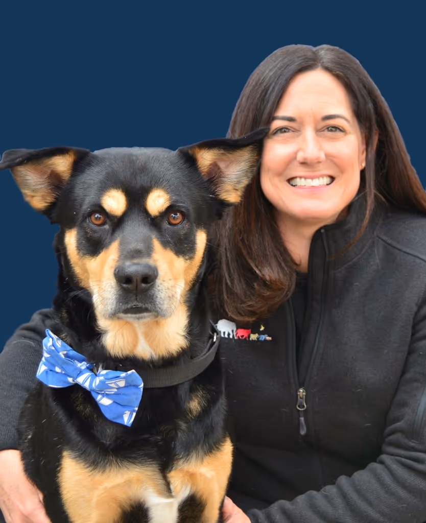staff profile