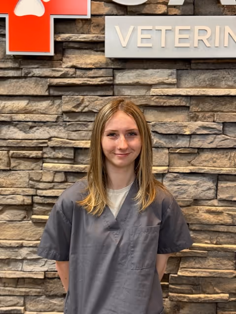 staff profile