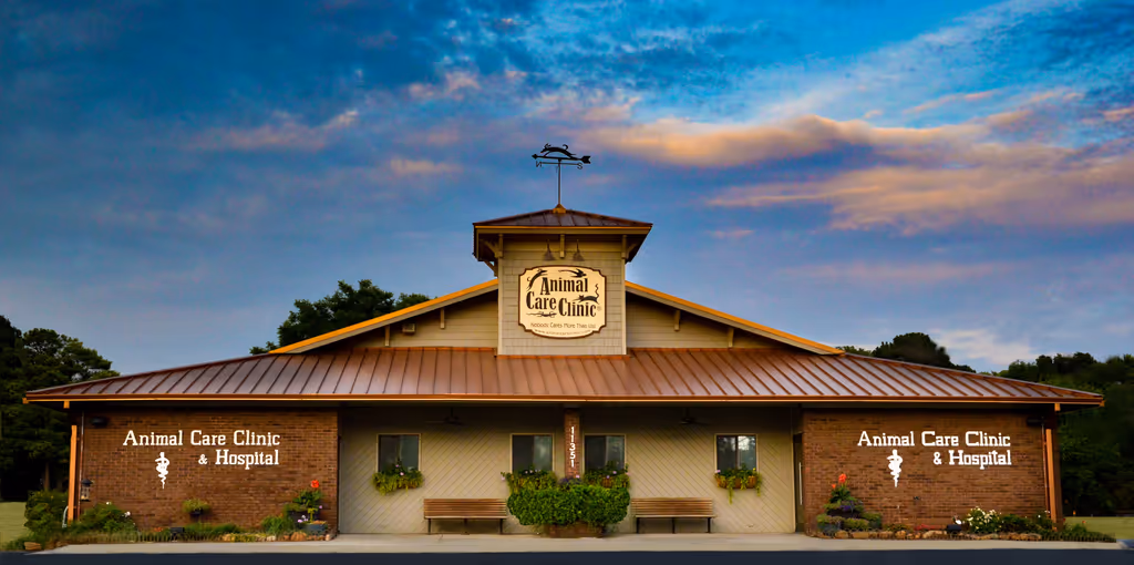 Animal Care Clinic - Pet services facility