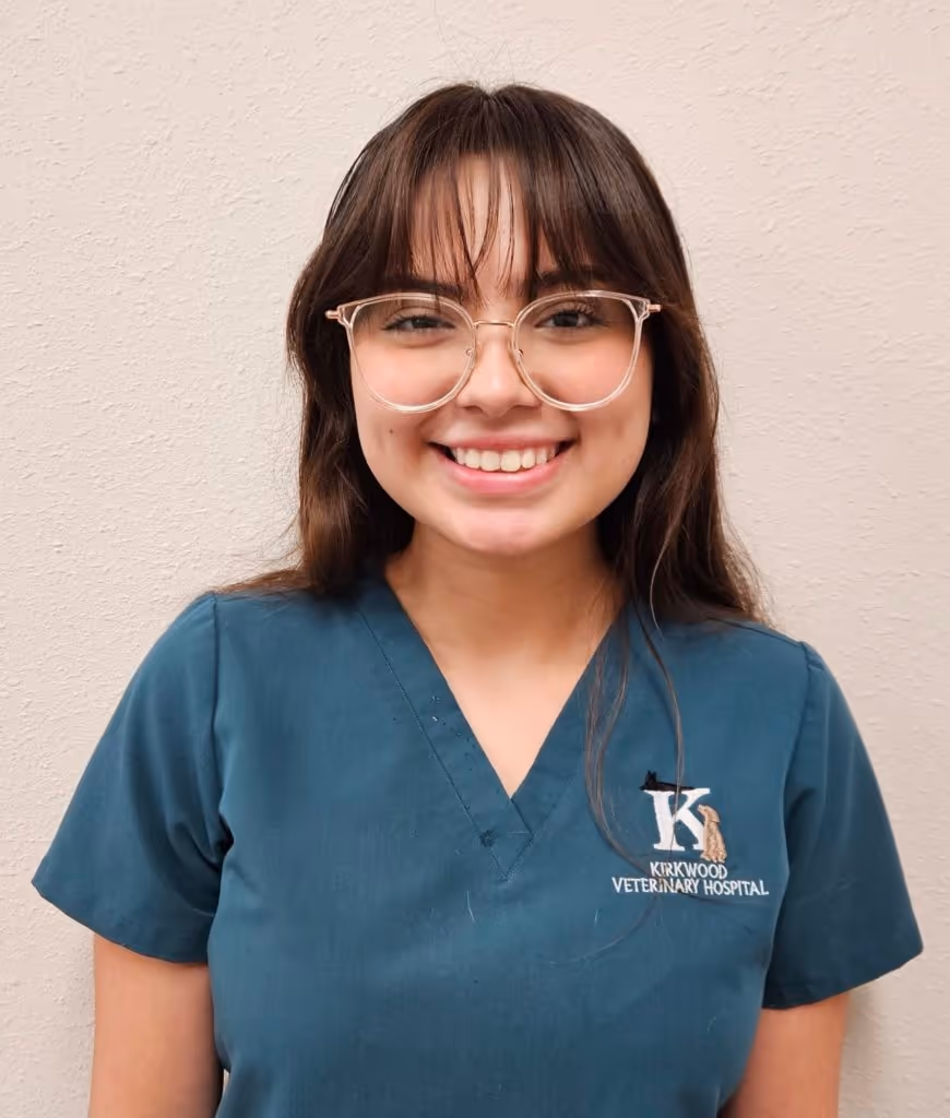 staff profile