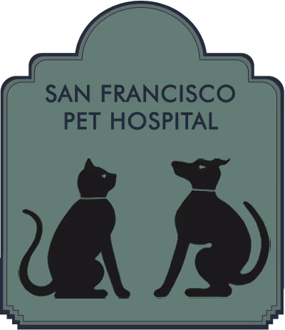 staff profile