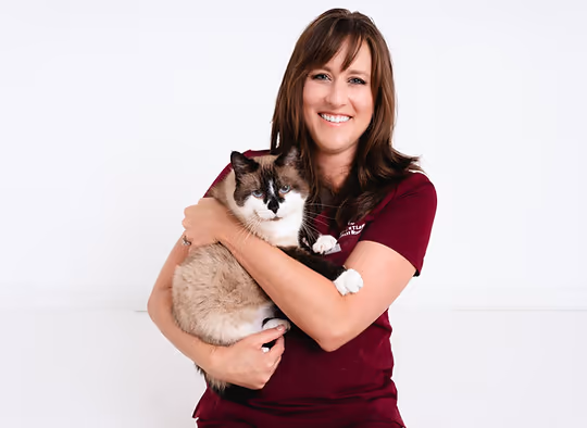 staff profile