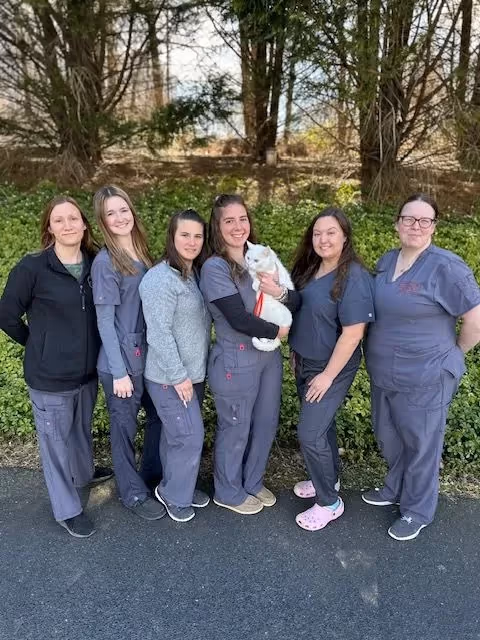 staff profile
