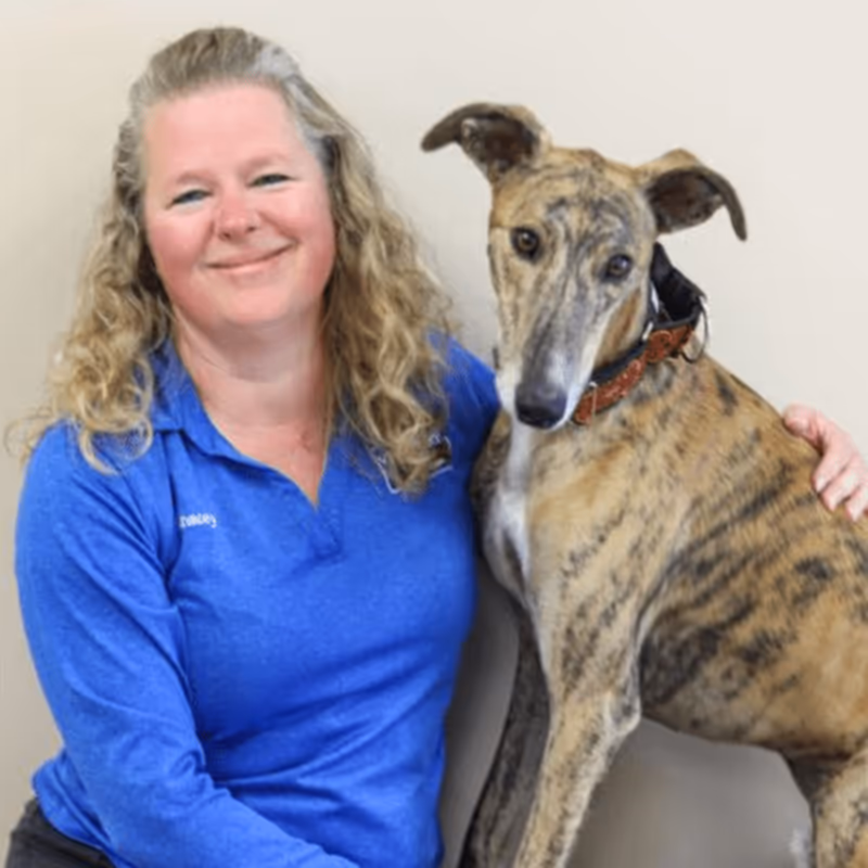 staff profile
