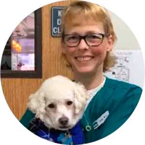 staff profile