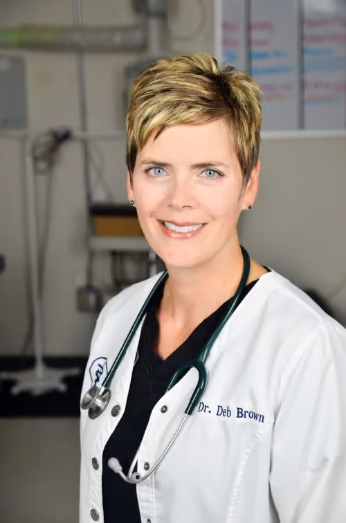 staff profile