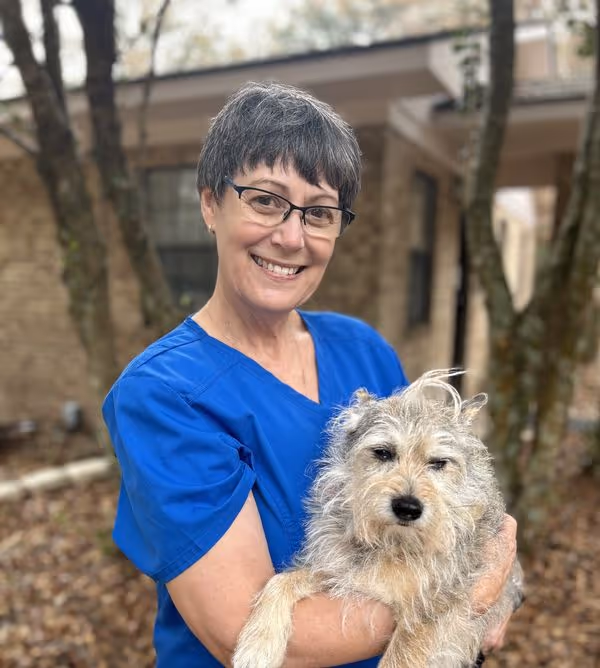 staff profile