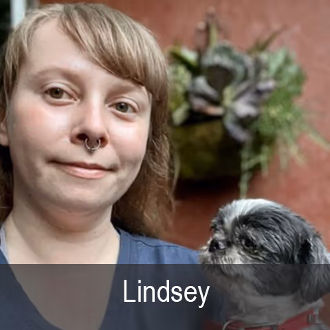 staff profile