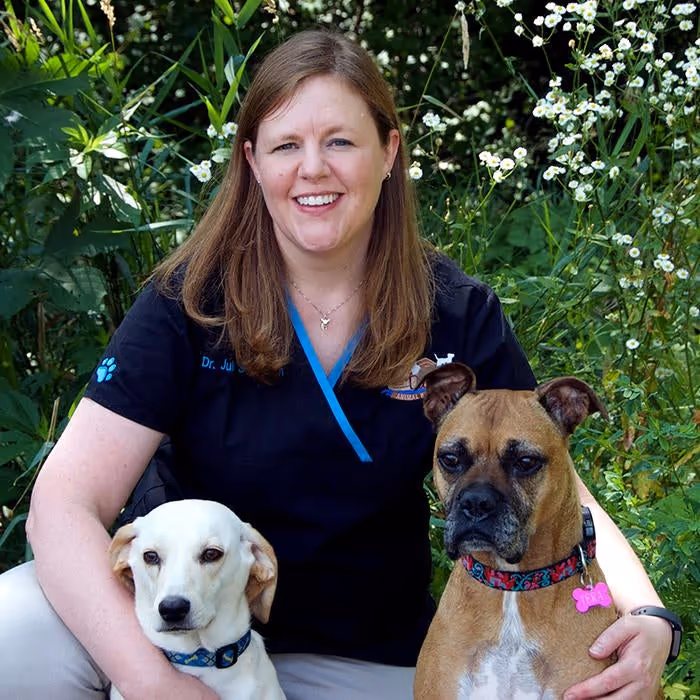staff profile