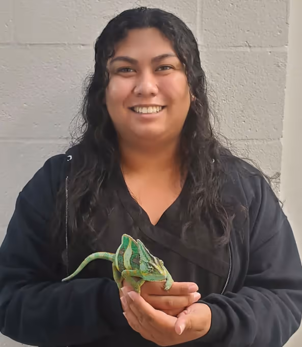 staff profile