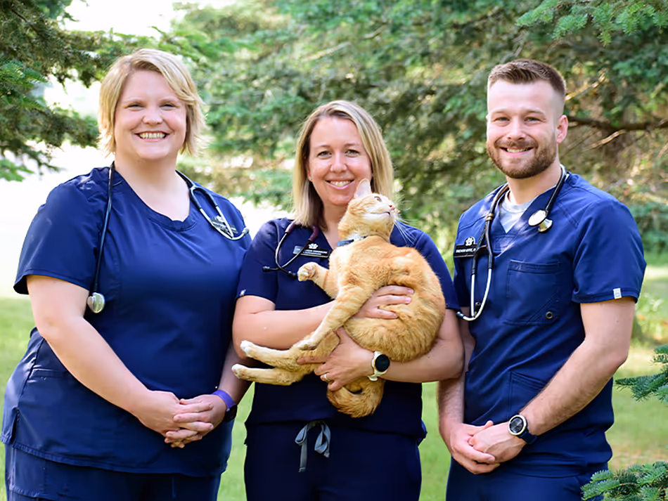 staff profile