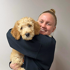 staff profile