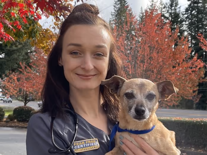 staff profile