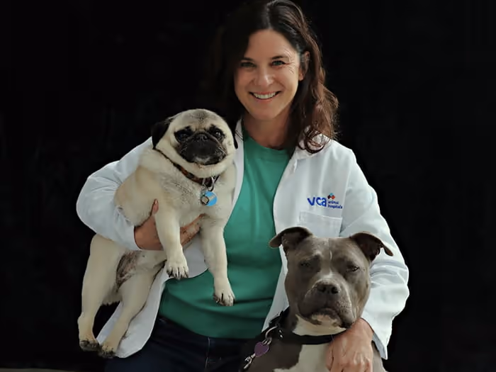 staff profile