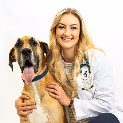staff profile