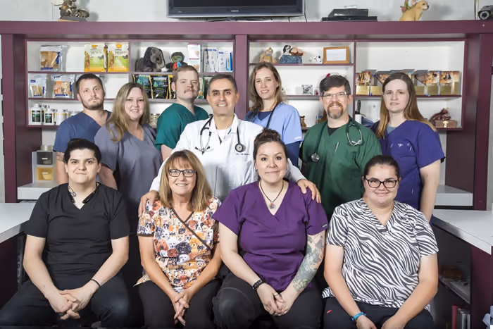 staff profile