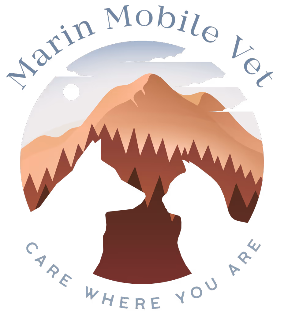 staff profile