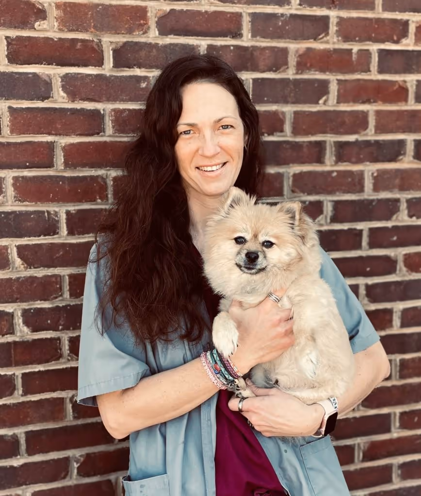 staff profile