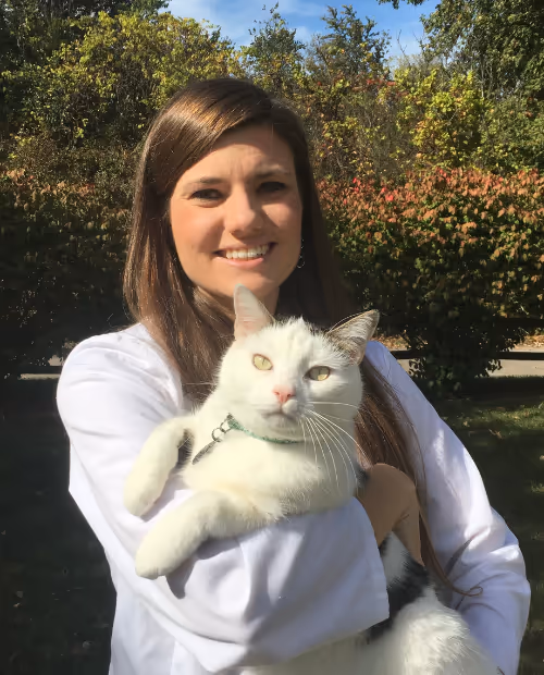 staff profile